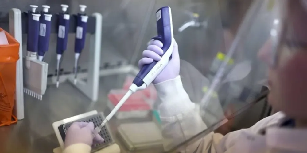 Embora essa mutação ainda não tenha ocorrido, os cientistas alertam que uma alteração tão simples não é tão difícil