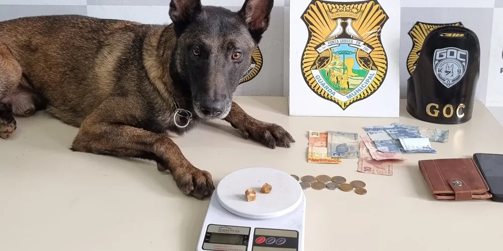 Ação teve apoio do Grupamento de Operações com Cães