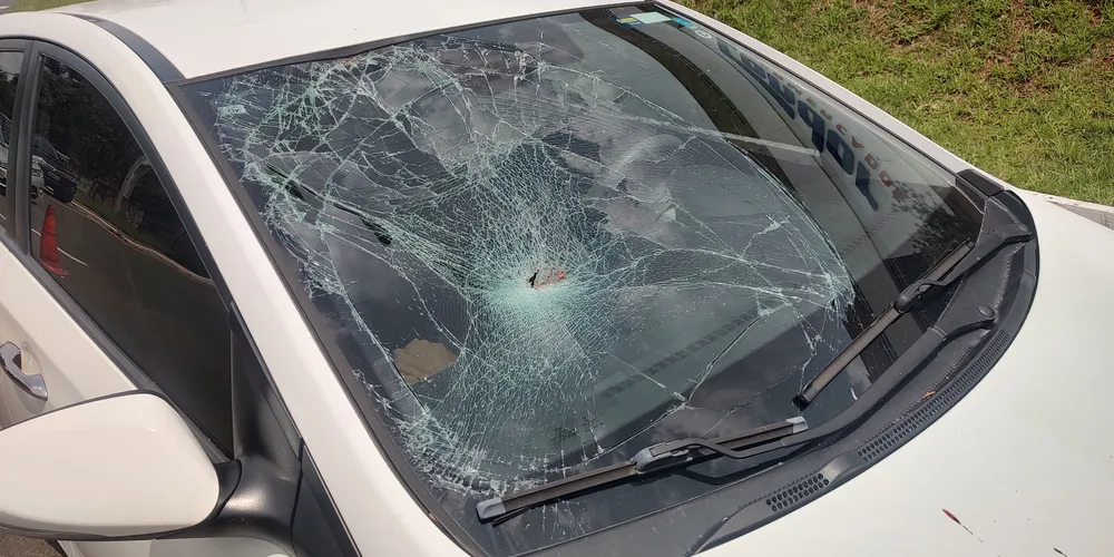 Para-brisa do carro foi danificado pela colisão
