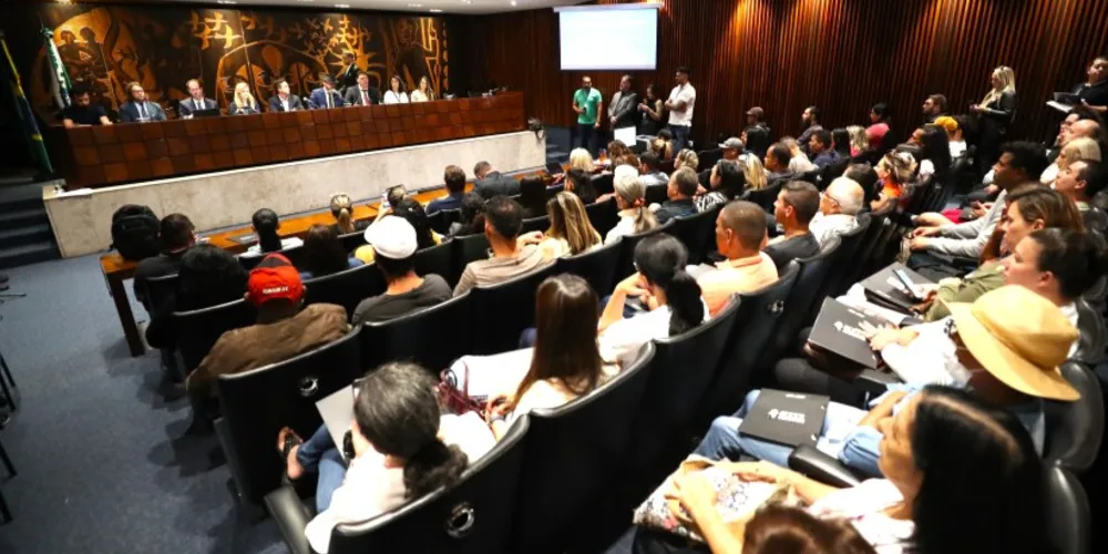 Diferentes agentes da sociedade presenciaram audiências públicas na Alep em 2024