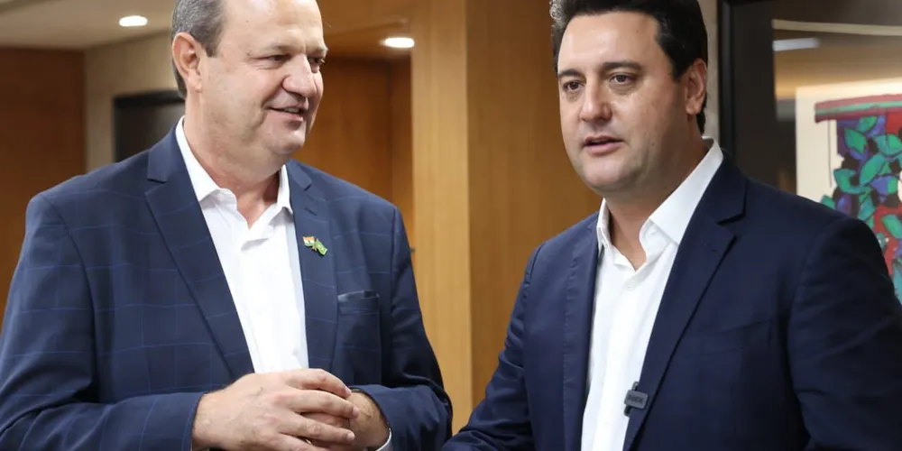 Secretário da Ciência, Tecnologia e Ensino Superior, Aldo Nelson Bona, dialoga com o governador do Paraná, Ratinho Junior