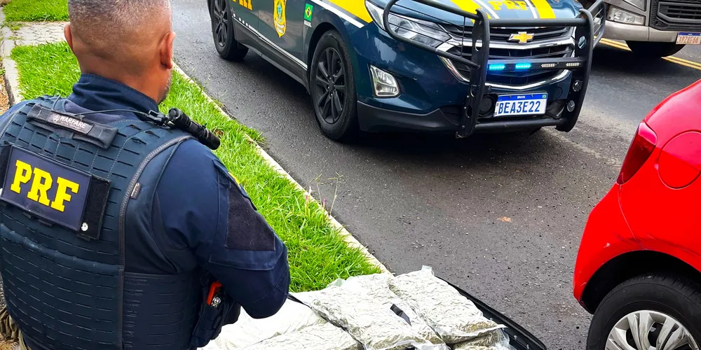 Agentes de segurança também apreenderam mais de 34 kg de skunk