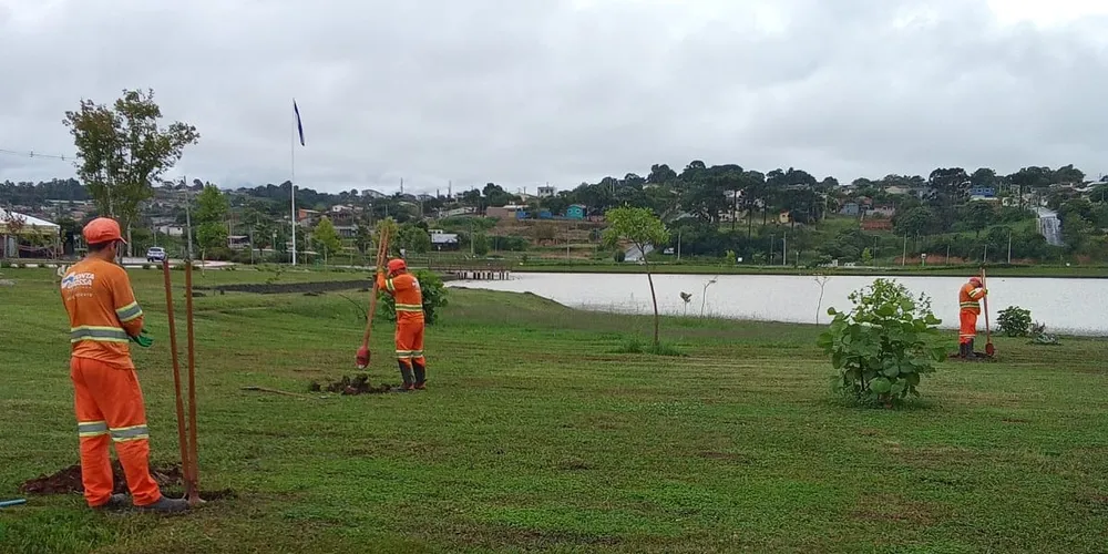 Trabalhos estão sendo realizados pela Secretaria de Meio Ambiente