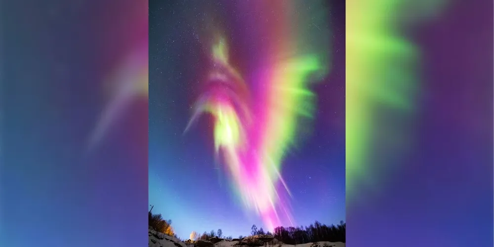 Fotografia foi realizada por Mickael Coulon, há cerca de duas semanas