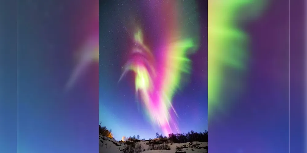 Fotografia foi realizada por Mickael Coulon, há cerca de duas semanas