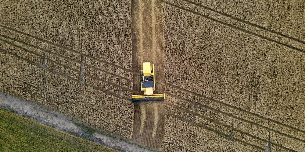 Aumento da produção agrícola deve impulsionar a economia paranaense, aponta o Ipardes