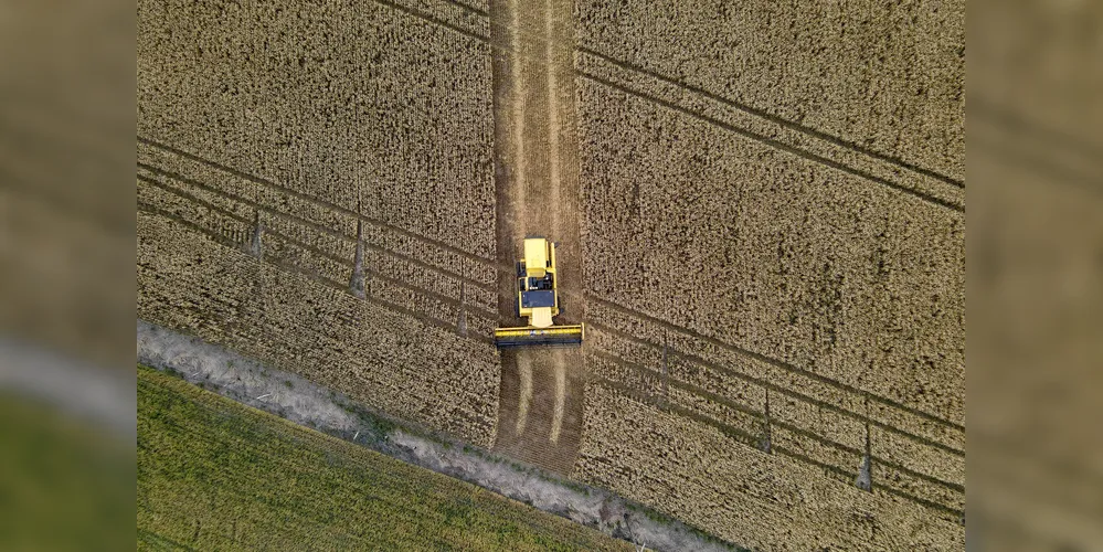 Aumento da produção agrícola deve impulsionar a economia paranaense, aponta o Ipardes