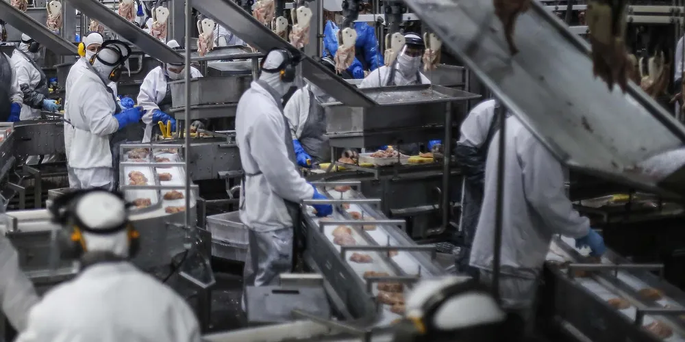 Há vagas para auxiliar de produção, que exigem experiência