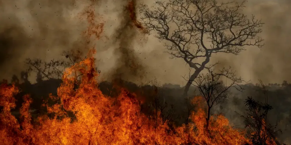 Segundo o levantamento, o Brasil teve 64.280 desastres climáticos desde 1990