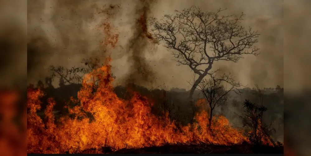 Segundo o levantamento, o Brasil teve 64.280 desastres climáticos desde 1990