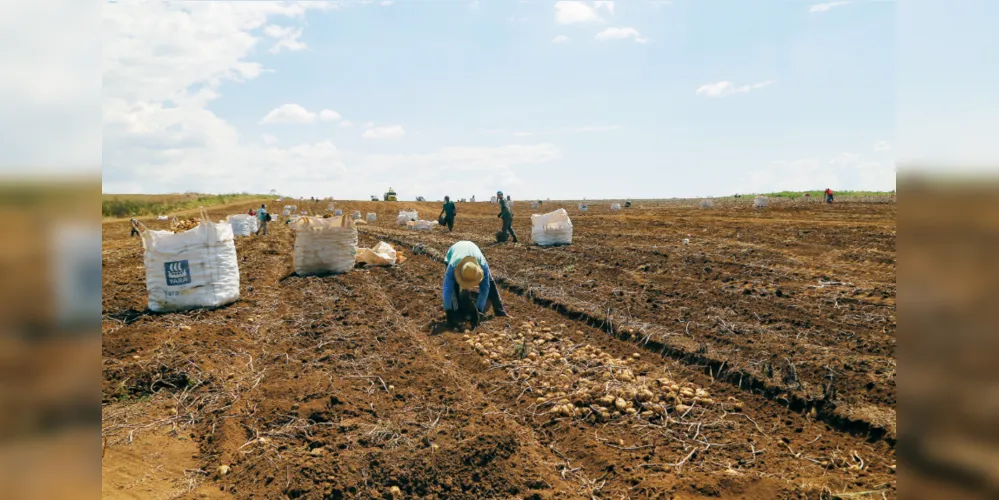 Agricultura é influenciada diretamente pelo clima, que é imprevisível, e impacta na atividade dos trabalhadores