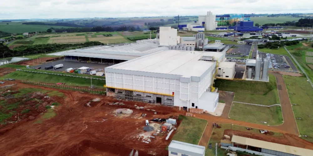 Queijaria absorve volume crescente da produção de leite na região