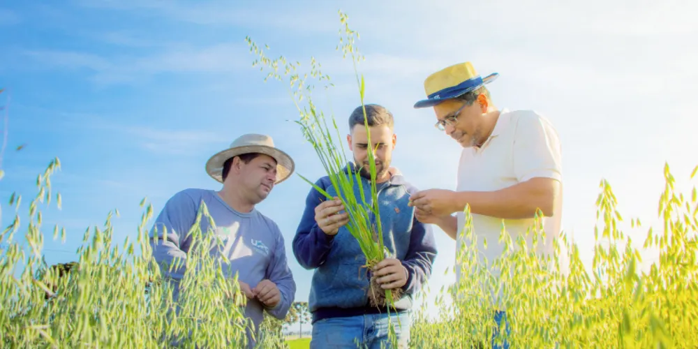 Na Fazenda Escola da UEPG, são inúmeras as medidas adotadas que reduzem a emissão de carbono