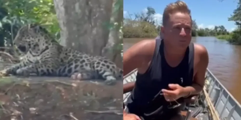 Impressionado com a cena, o cantor expressou admiração pela fauna da região