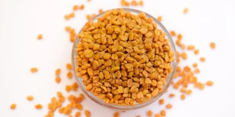 O feno-grego também é repleto de minerais essenciais para o organismo