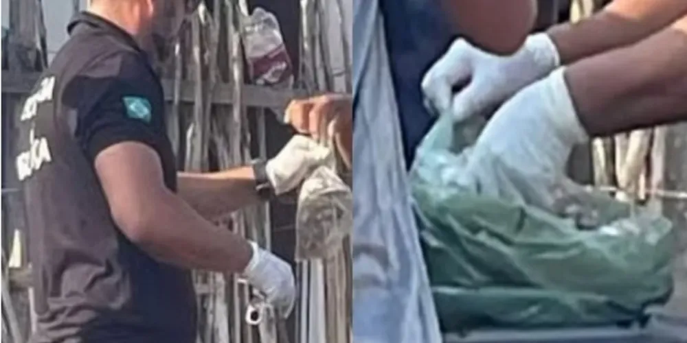 Os familiares foram socorridos e levados ao hospital