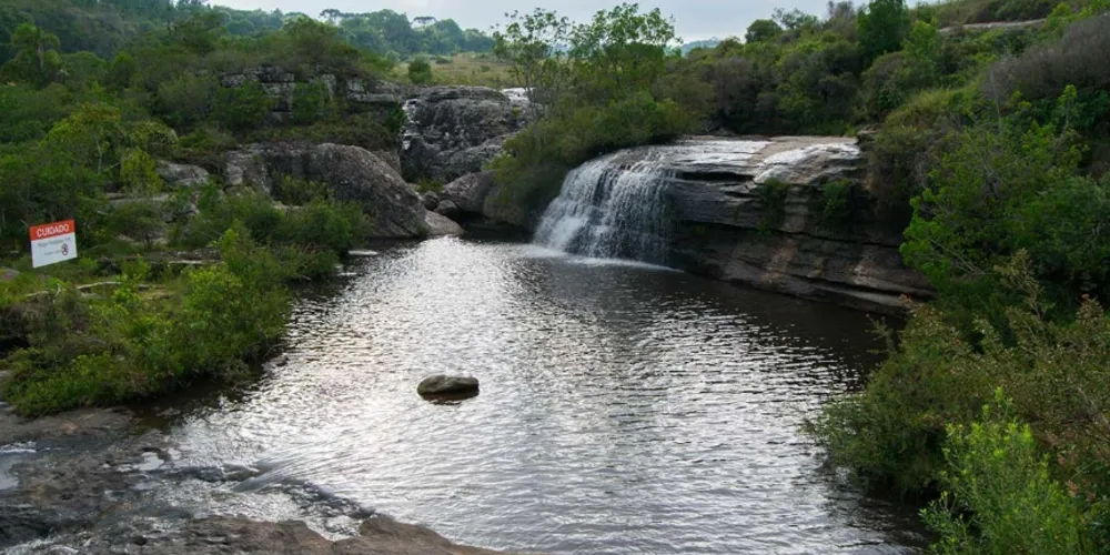 Rapaz estaria nadando ao lado de um amigo