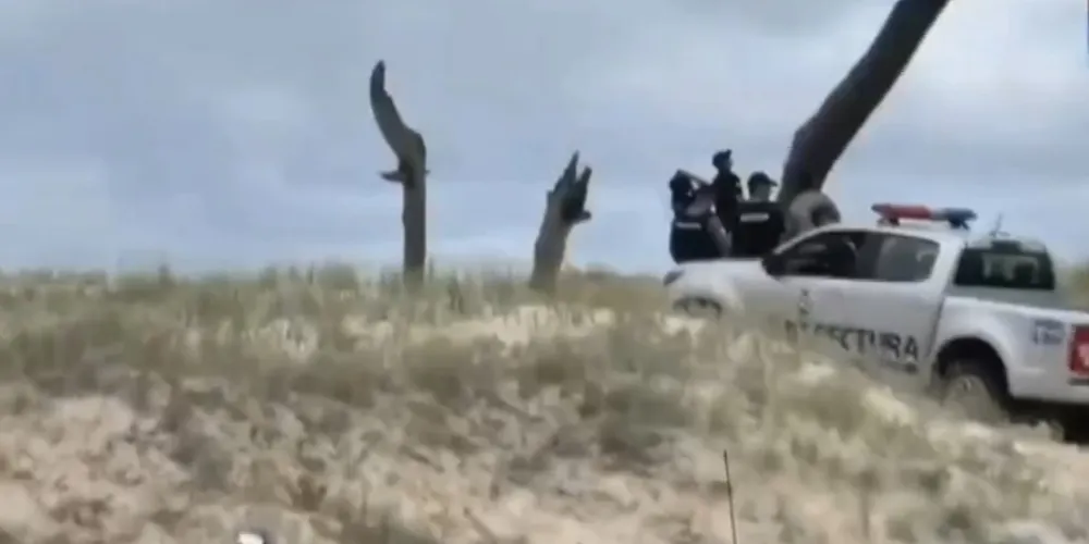 Ele foi acompanhado por autoridades locais e resgatado