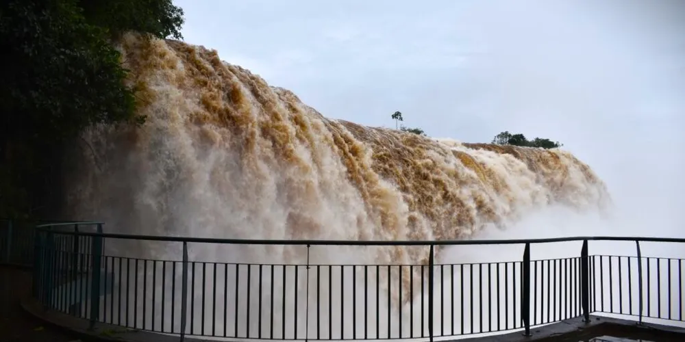 Número foi registrado na manhã da última segunda-feira (9)