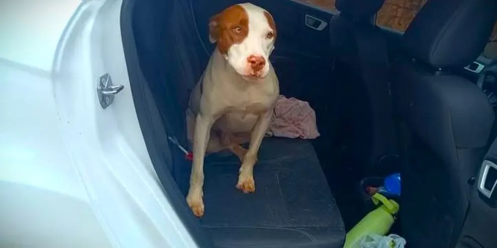 'Tito', como também era chamado, já está com sua família