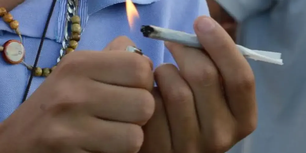 Decisão do Supremo Tribunal Federal não legaliza o porte de maconha