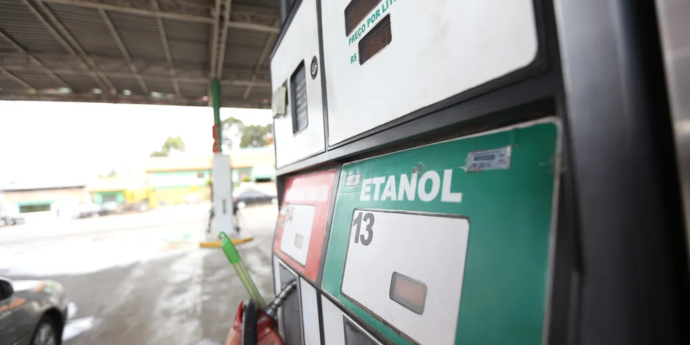 Ação teve a presença do Batalhão de Polícia Ambiental - Força Verde