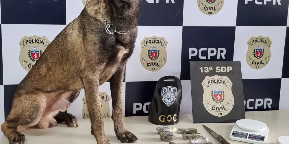 Drogas e outros itens foram apreendidos pelos agentes