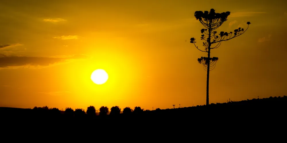 Temperaturas variam entre 14ºC e 25ºC, de acordo com o Simepar