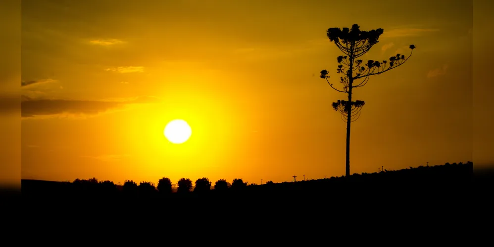 Temperaturas variam entre 14ºC e 25ºC, de acordo com o Simepar