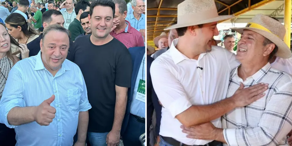 Parlamentares se reuniram com o governador Ratinho Júnior.