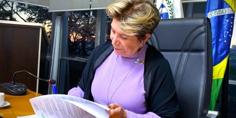 Ofício que veta parcialmente a lei é assinada por Elizabeth Schmidt  (União Brasil)