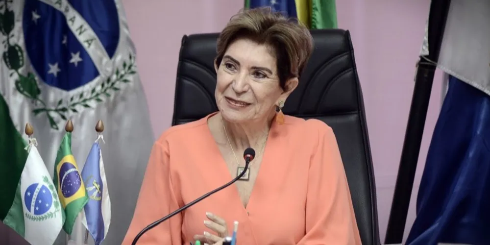 Elizabeth Schmidt irá prestar contas sobre Programa de Metas
