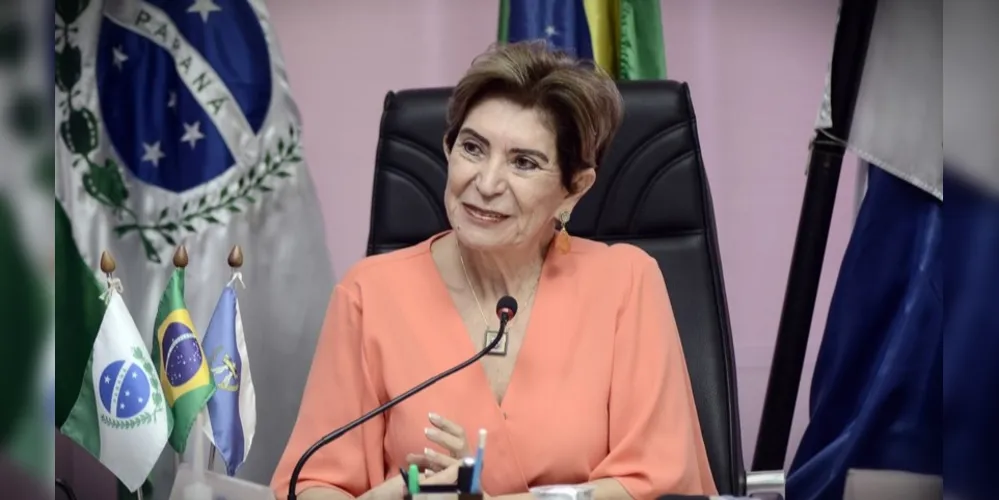 Elizabeth Schmidt irá prestar contas sobre Programa de Metas