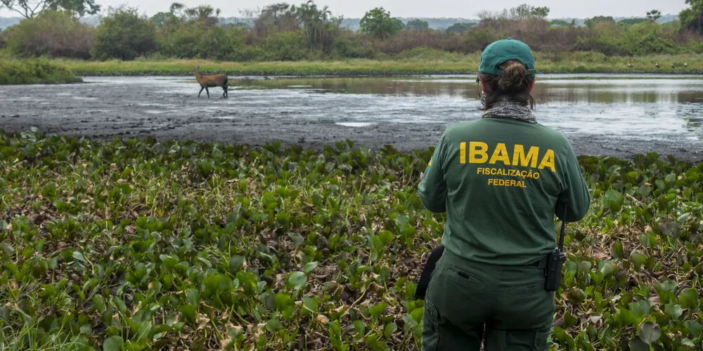 Inscrições podem ser feitas até quinta-feira (30)