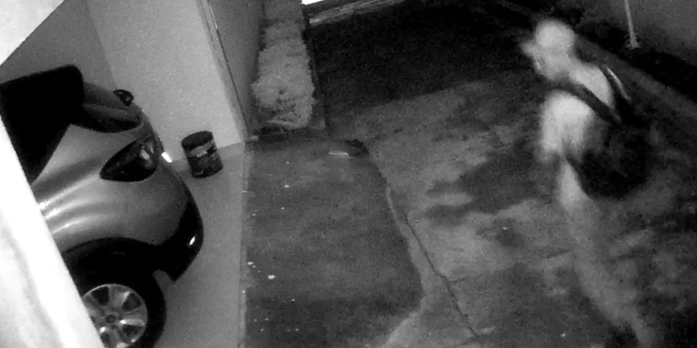 Tentativa de furto aconteceu na Rua Ricardo Wagner