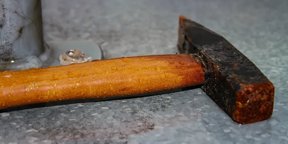 O jovem cometeu a agressão contra o cão com um martelo