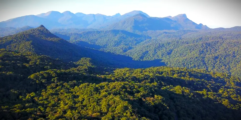 Edital apoiará projetos de, no mínimo, 200 hectares