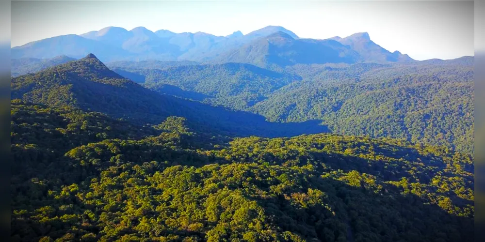 Edital apoiará projetos de, no mínimo, 200 hectares