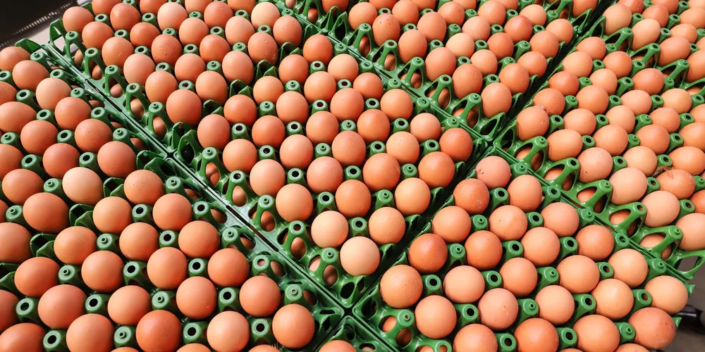 Medida vista trazer mais segurança alimentar aos consumidores