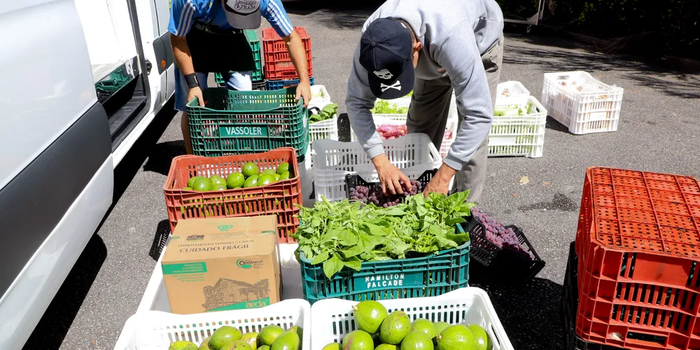 Estado adquiri R$ 2 bilhões em produtos e serviços de micro e pequenas empresas em 2024