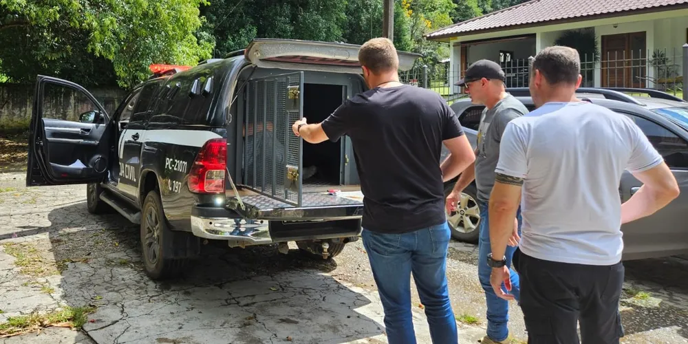 Homem foi encaminhado para a Cadeia Pública de Castro