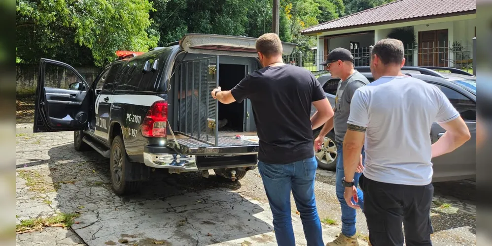 Homem foi encaminhado para a Cadeia Pública de Castro