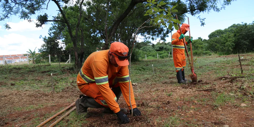 A ação aconteceu no Parque das Araucárias, localizado no Campo Belo, região do Cará-Cará, além do entorno da rua Vendelino Ditzel