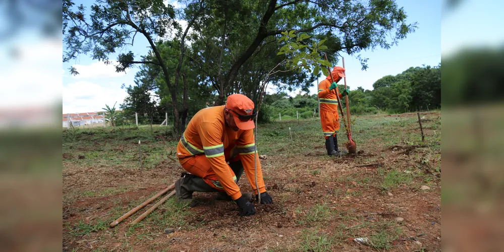 A ação aconteceu no Parque das Araucárias, localizado no Campo Belo, região do Cará-Cará, além do entorno da rua Vendelino Ditzel