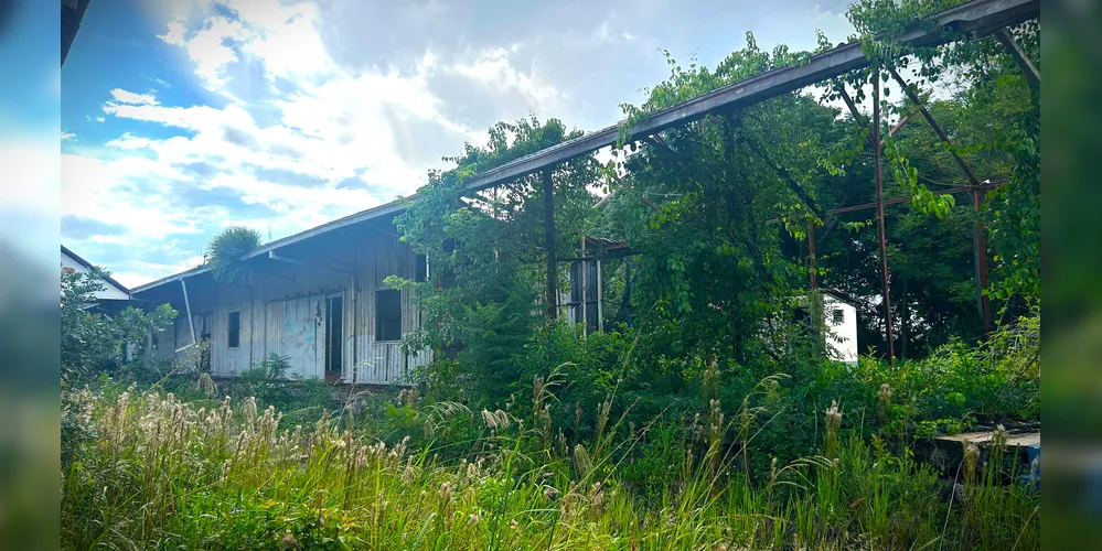 Vegetação já tomou conta das estruturas que faziam parte da antiga Rede Ferroviária