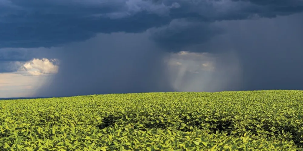 Orçamento do PSR para 2025 ainda está indefinido, segundo a FAEP