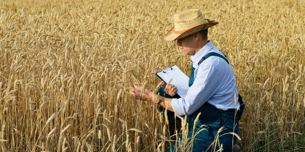 Trabalho temporário acontecerá durante a safra, com possibilidade de efetivação