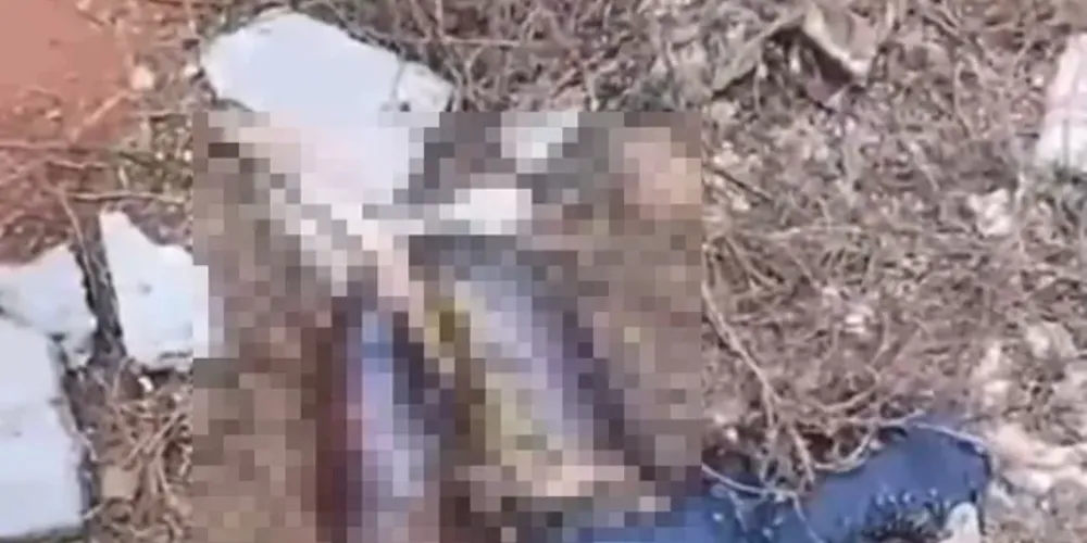 Situação foi registrada na tarde dessa sexta-feira (10)