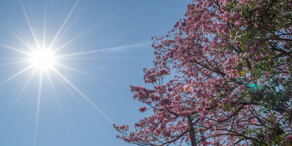 Temperaturas variam entre 12ºC e 21ºC, conforme previsão