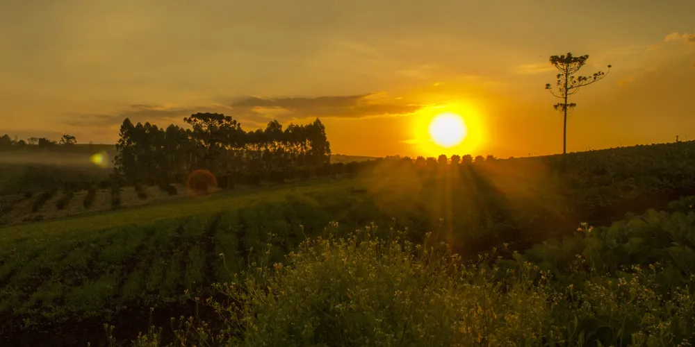 Sol irá predominar em boa parte do Paraná